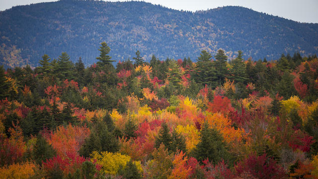 Autumn In New Hampshire's White Mountains 